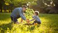 The picture shows a young father planting a tree with his little son. They are doing this in a meadow, with other trees in the background. The sun is shining.