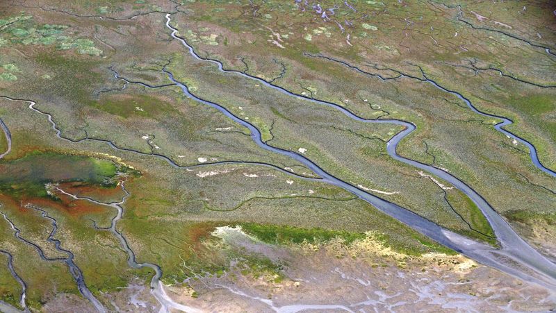 Luftbild, das die verästelten Prile und unterschiedlich gefärbten Salzwiesen zeigt.