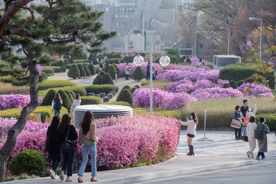Ewha Womans University Campus Spring Ein gepflegter Garten auf dem Campus der Ewha Womans University mit blühenden Blumen.