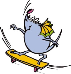 Skateboard-Kuni
