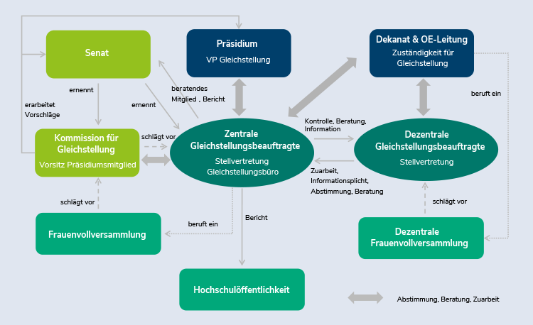 Abbildung der Gleichstellungsstrukturen der UOL mit Senat, Präsidium, Dekanat, OE-Leitung, Gleichstellungsbeauftragten, Kommission für Gleichstellung und der Frauenvollversammlung
