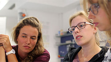 Lernwerkstatt Teaser Bild